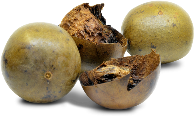 Which Sweetener Is Better Monk Fruit Extract Or Stevia Diet Plus Minus