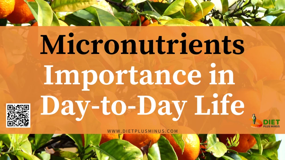 Micronutrients Importance in  Day-to-Day Life
