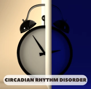Are You Struggling With a Circadian Rhythm Disorder