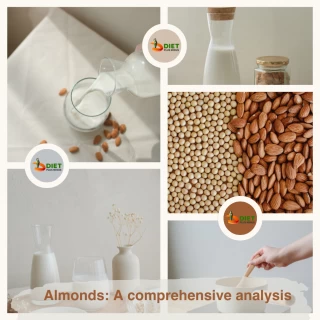 What Is an Almond? - A Comprehensive Guide to the Health Benefits of this Tree Nut