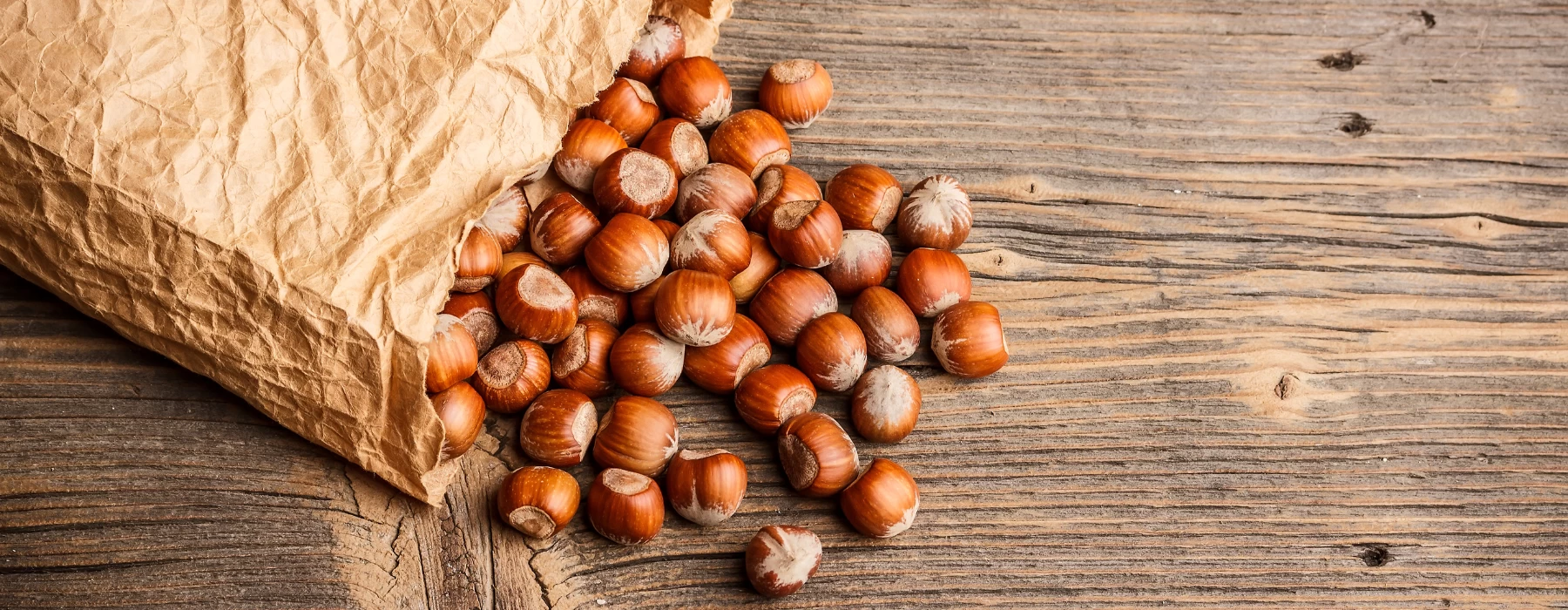 Hazelnuts Hazelnuts