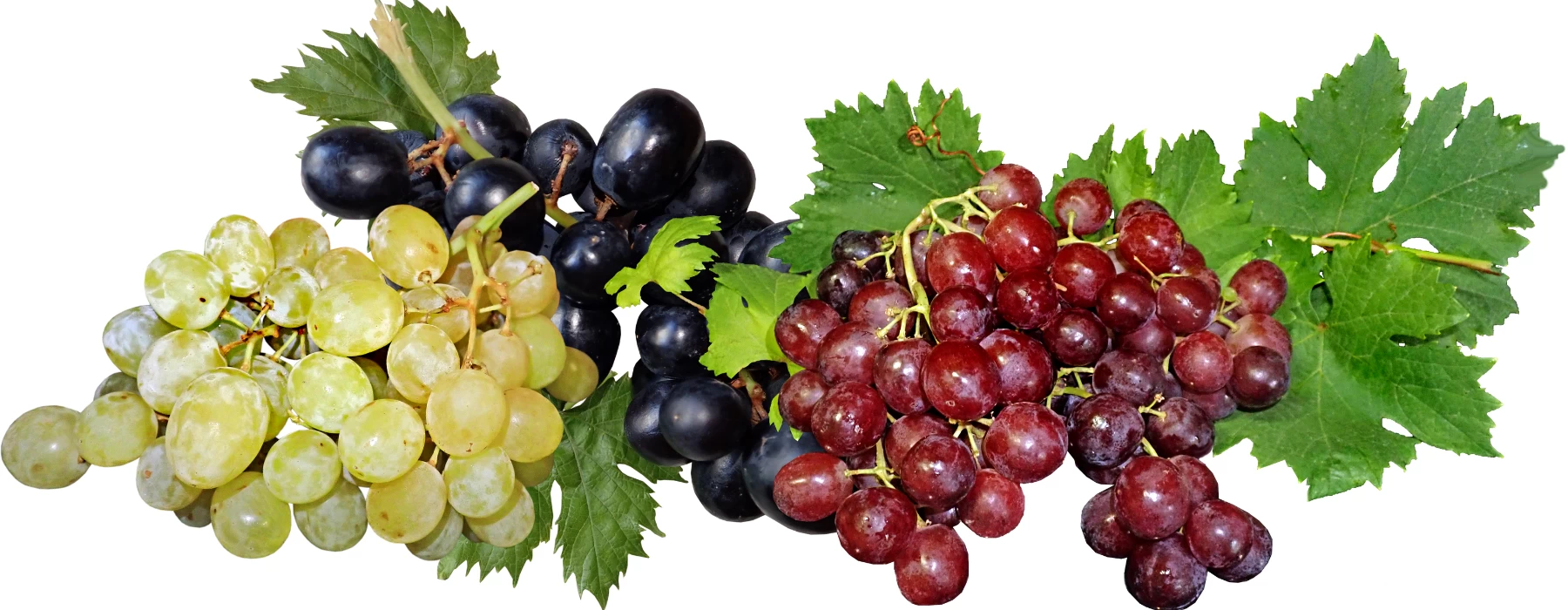 Grapes