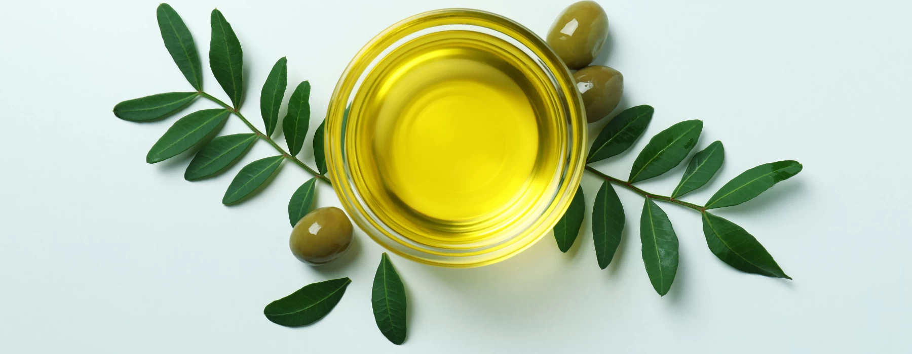 Olive Oil