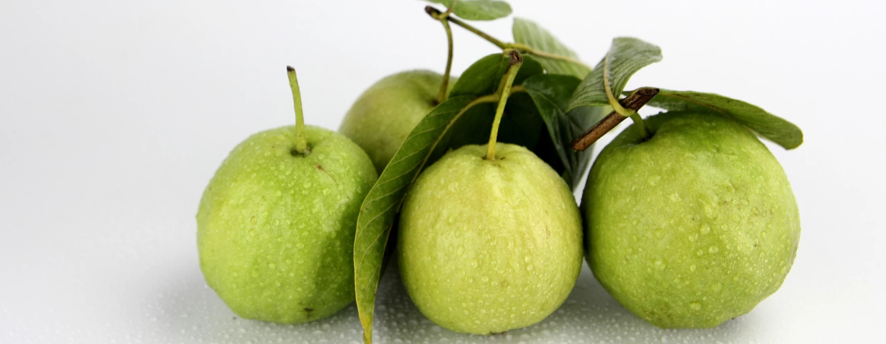 Guava Guava
