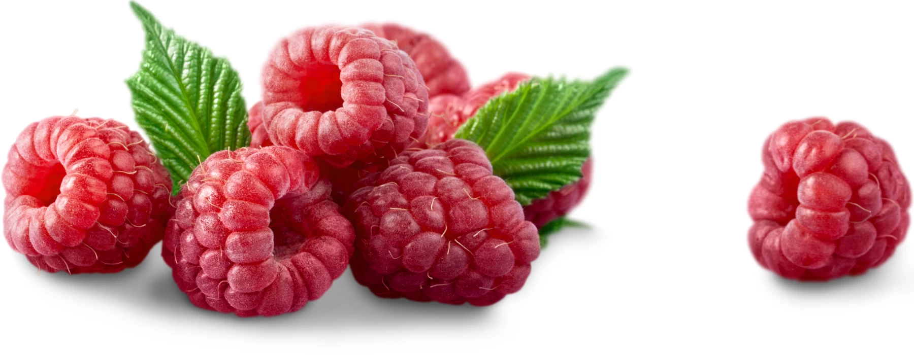 Raspberries Raspberries