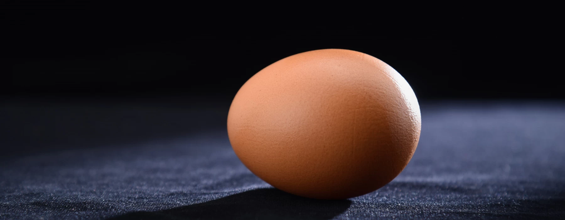 Egg (hen)