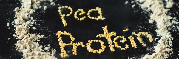 Pea Protein