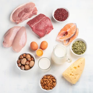 High Protein Fatty Liver Diet What to Eat and What to Avoid