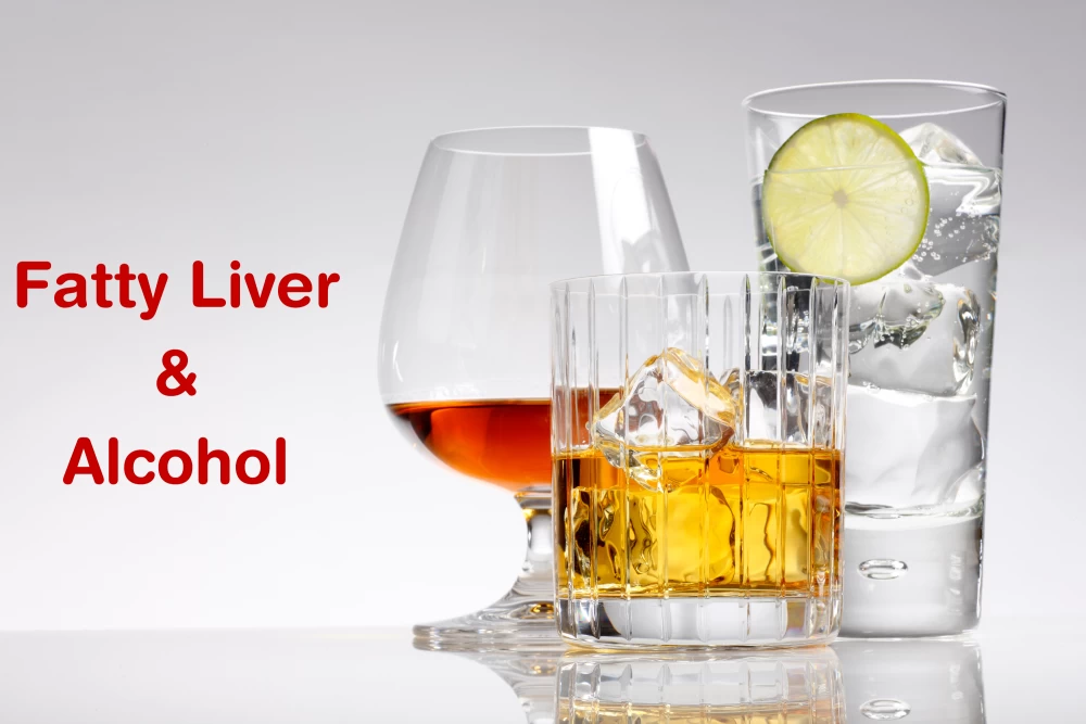 The Connection Between Fatty Liver and Alcohol What You Need to Know