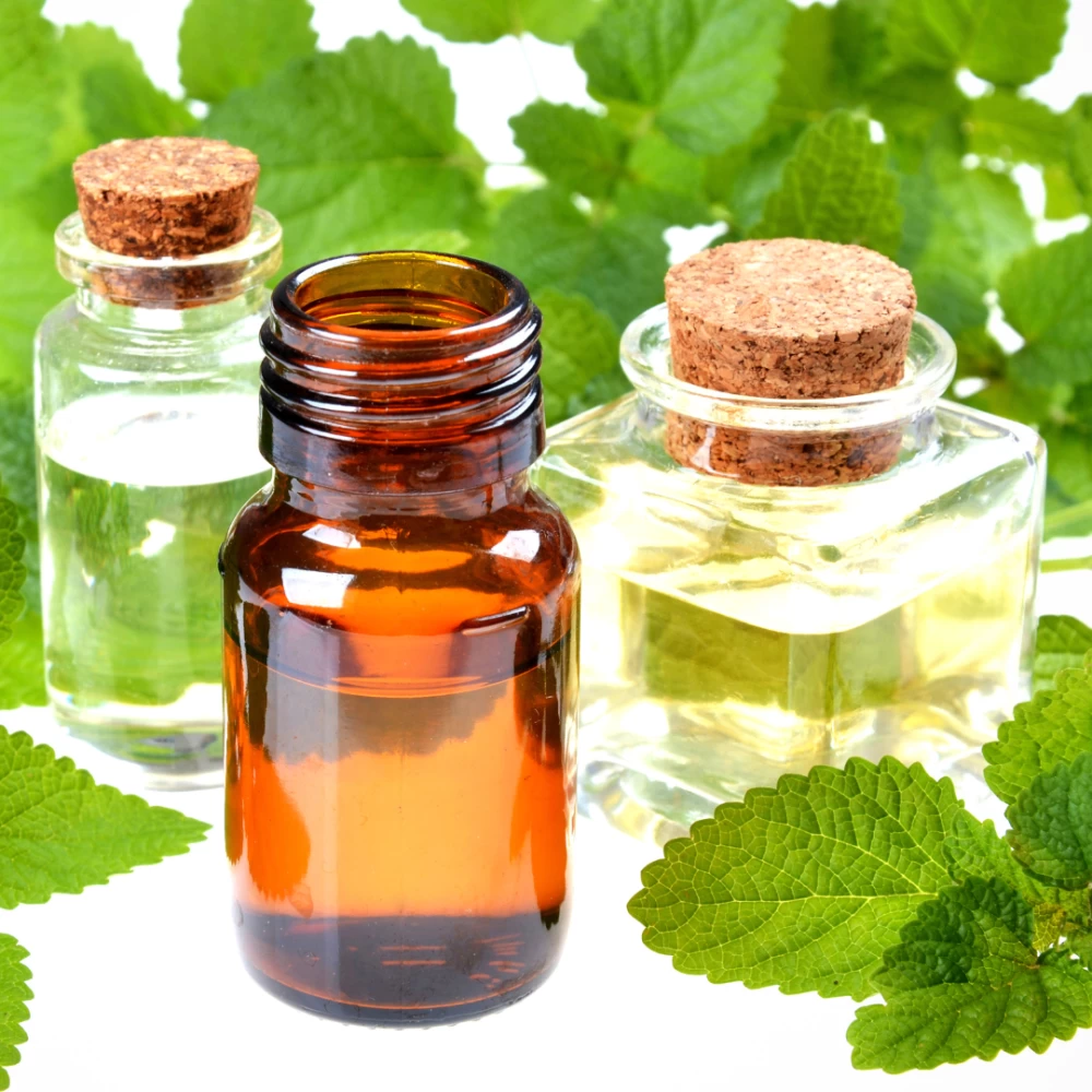 benefits of green tea extract reddit