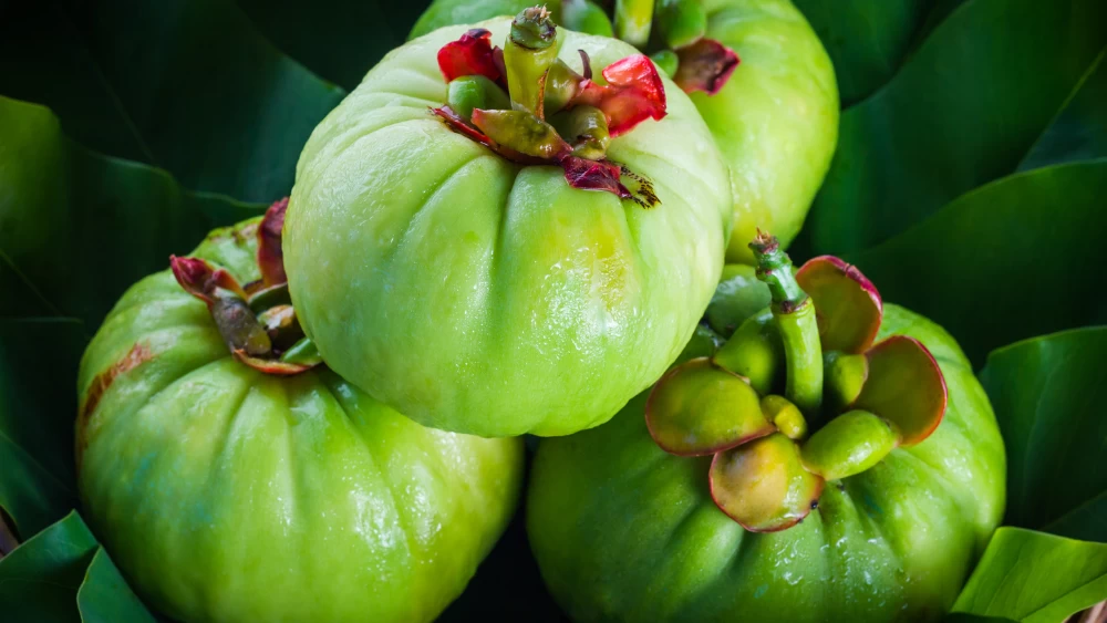 Amazing Facts About Garcinia Cambogia