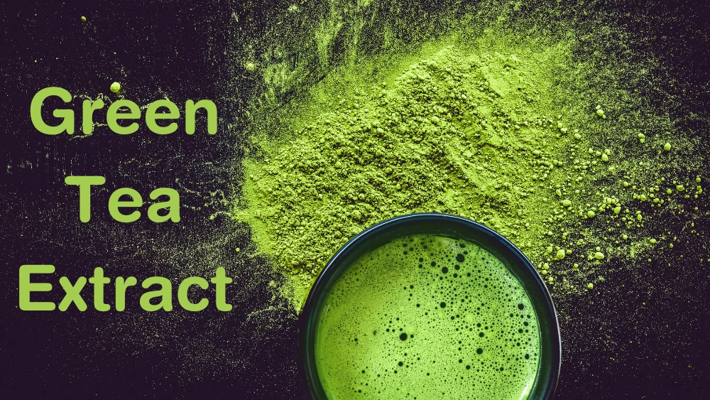 Amazing Benefits of Green Tea Extract