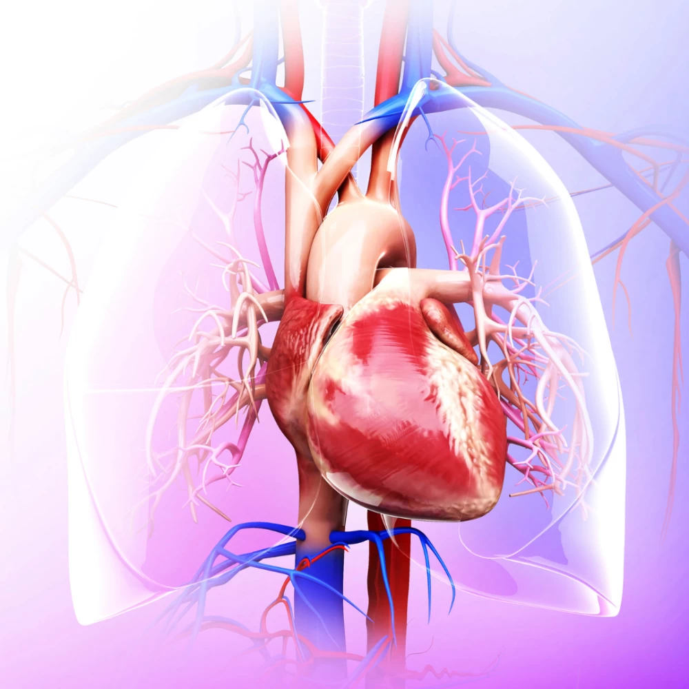 Cardiovascular Health And Fitness Diet Plus Minus cardiovascular-health-and-fitness-diet-plus-minus