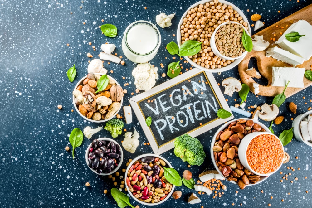 Vegan Protein Sources and Supplements.2 (1)