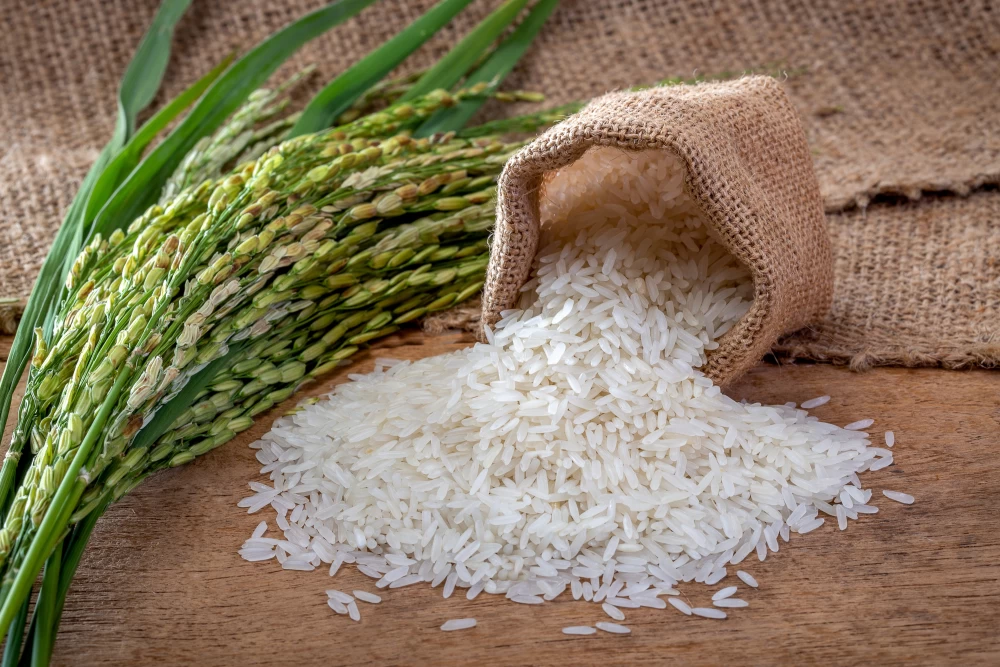 6 Reasons for Incorporating Rice Into Your Diet.1