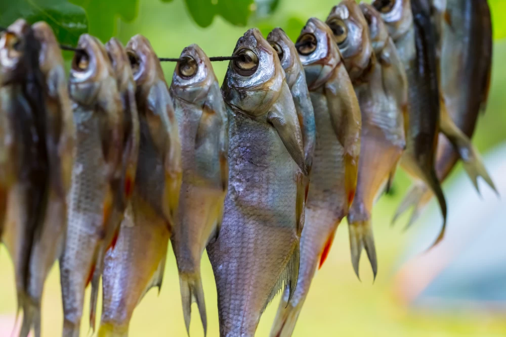 10 Surprising Health Benefits of Dry Fish.1