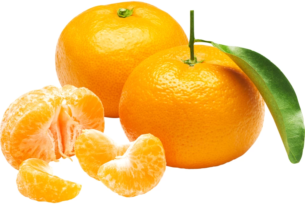 Orange Bliss Unlocking the Health Marvels of Citrus Goodness.1