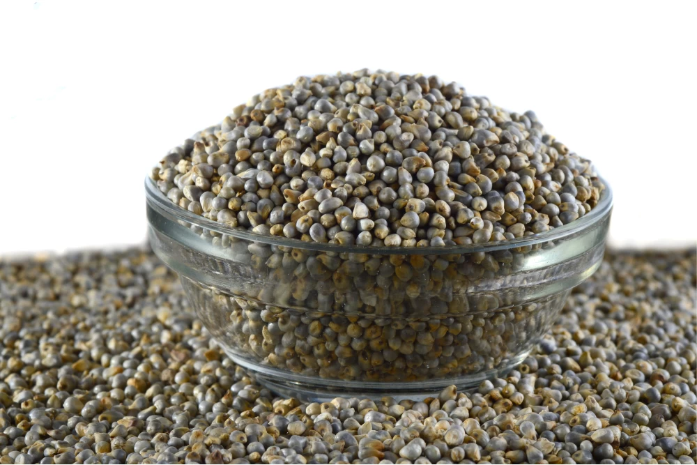 7 Nutritional Benefits of Pearl Millet .1