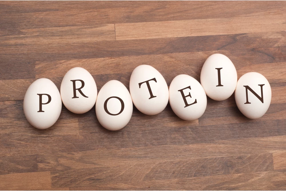 Does Protein Requirement Change as We Age.1