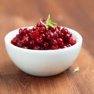 7 Health Benefits of Lingonberry.1