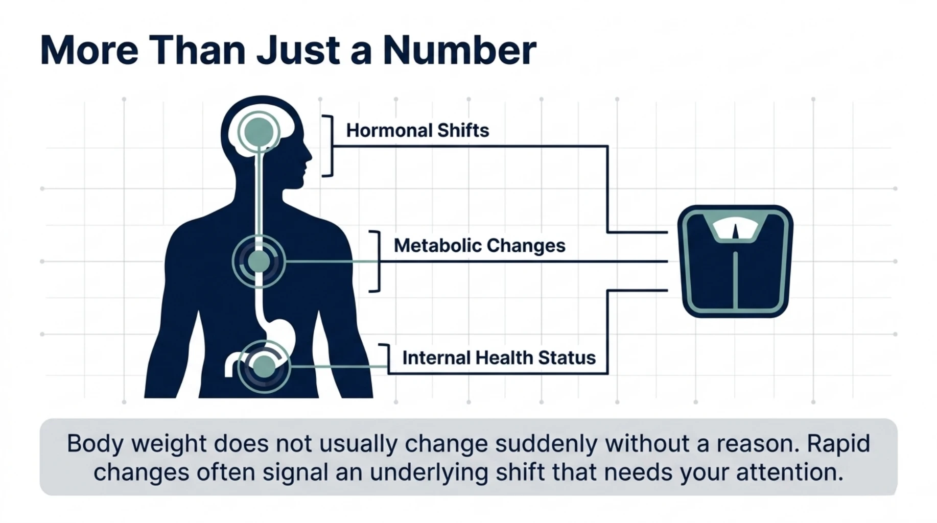 Body weight changes influenced by hormones, metabolism, and internal health factors beyond just numbers