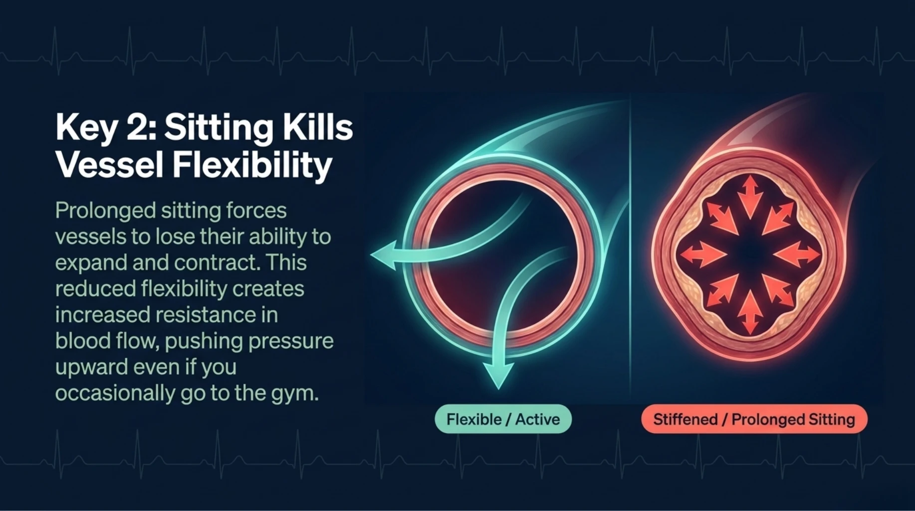 Prolonged sitting reducing blood vessel flexibility and increasing resistance leading to high blood pressure