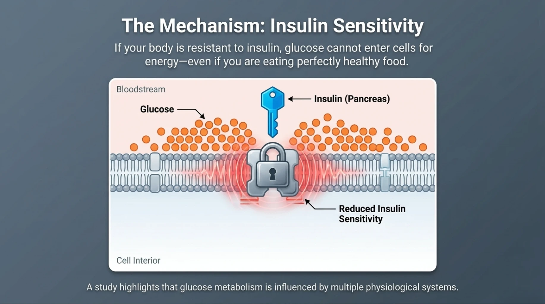 Insulin resistance mechanism showing glucose unable to enter cells despite insulin presence
