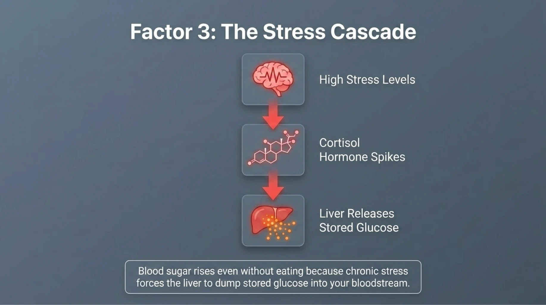 Chronic stress increases cortisol causing liver glucose release and rising blood sugar levels