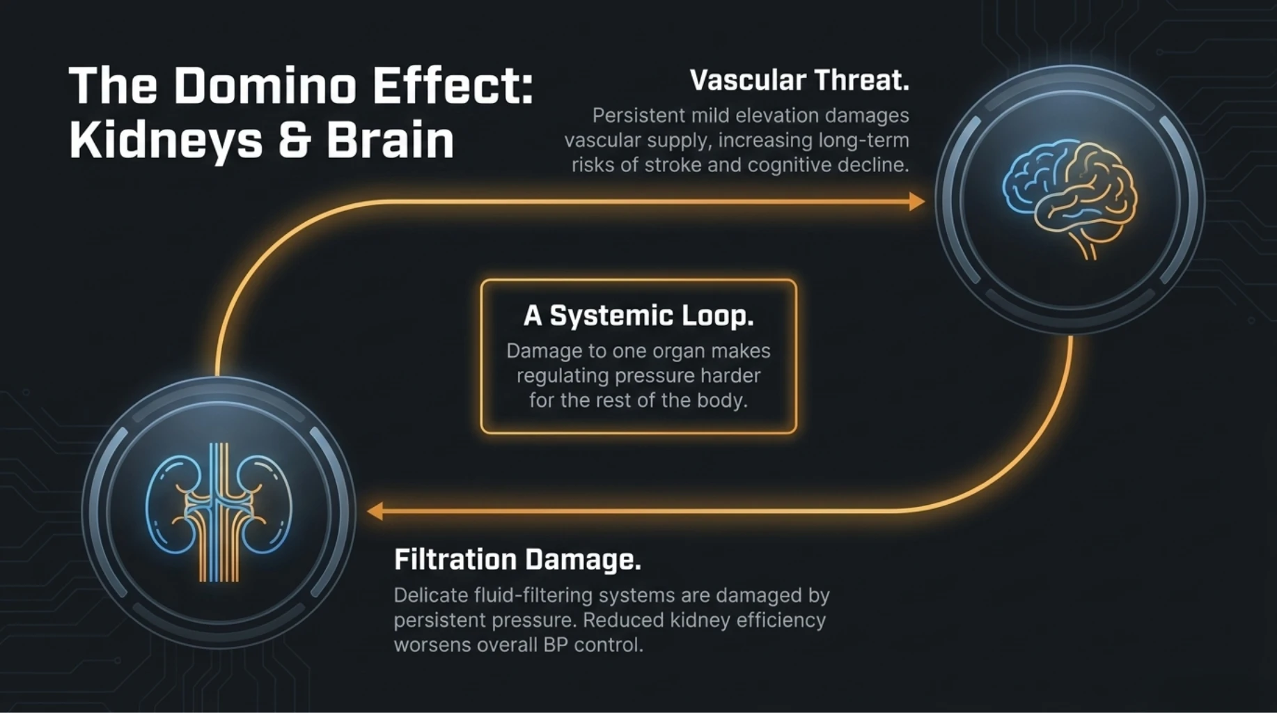 Persistent mild hypertension causing domino effect leading to kidney damage and increased stroke risk