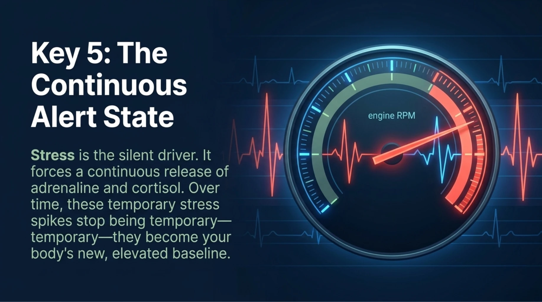 Chronic stress increasing adrenaline and cortisol leading to persistently elevated blood pressure