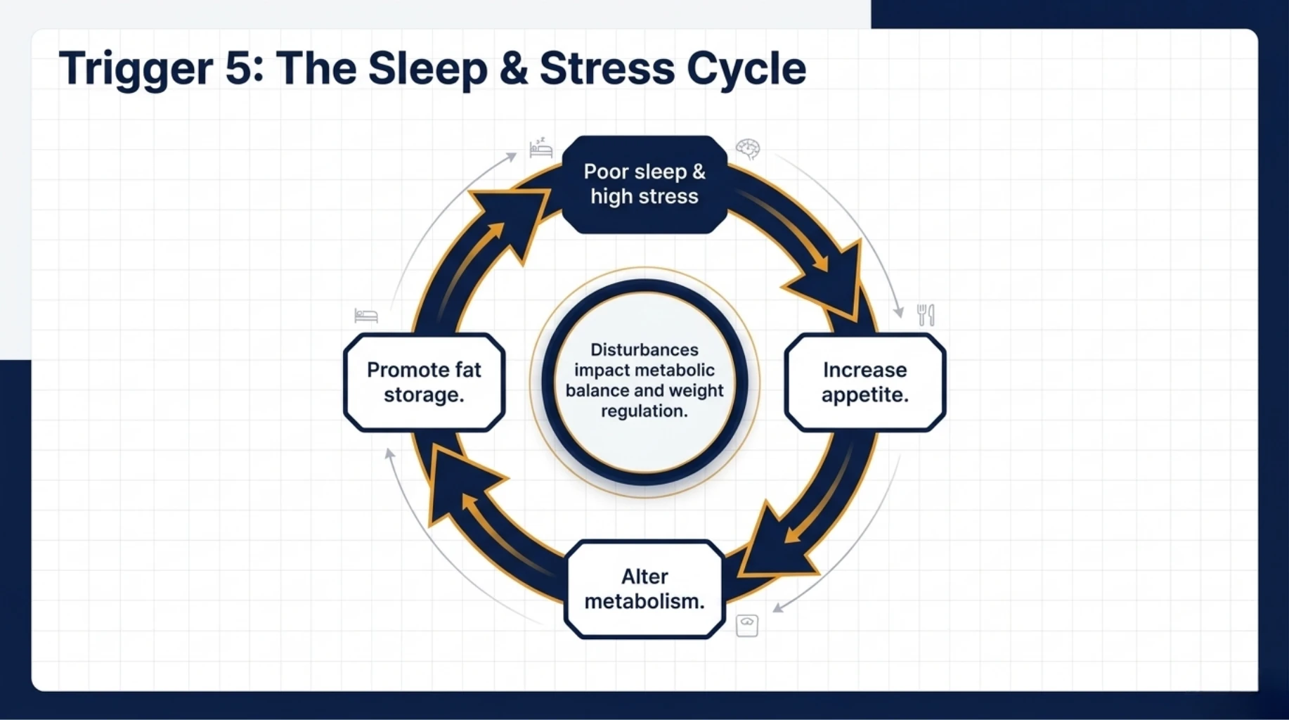 Sleep deprivation and chronic stress cycle leading to metabolic disruption and weight gain