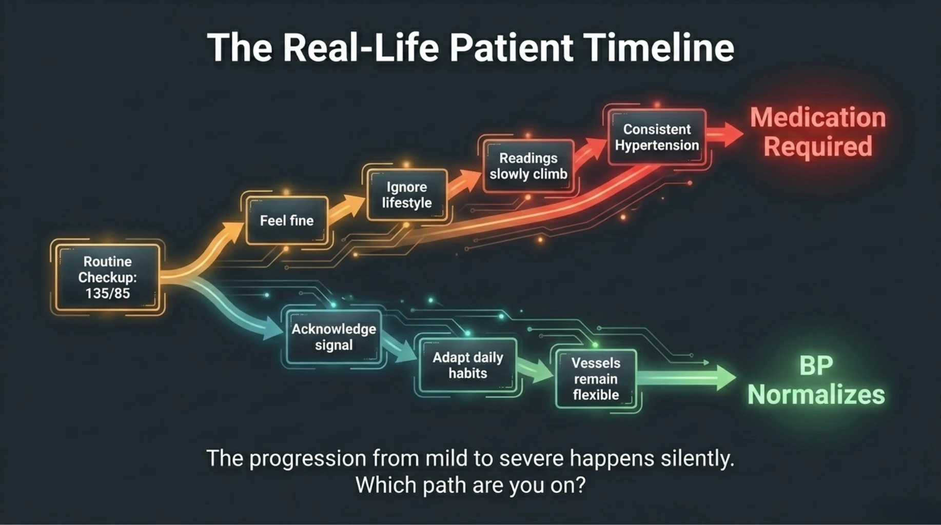 Timeline showing progression from mild blood pressure to severe hypertension with or without lifestyle changes