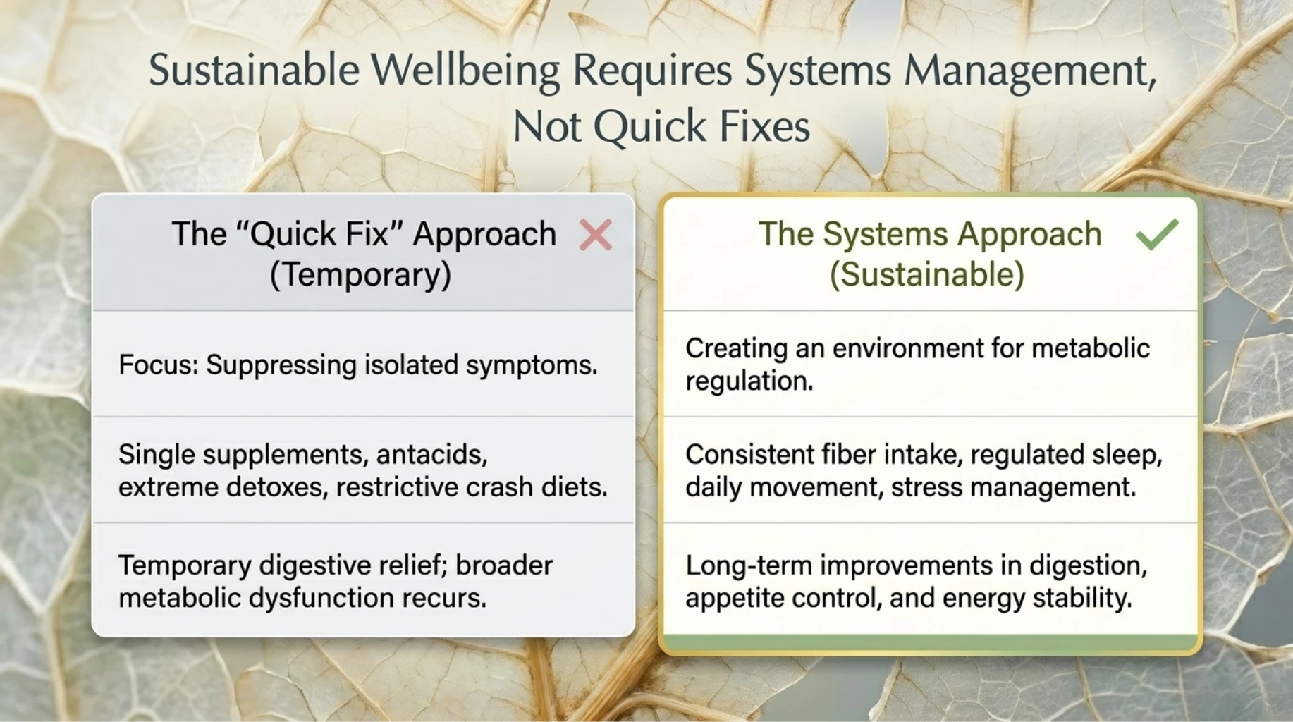 Systems-based approach to gut health recovery using fiber intake, sleep regulation, movement, and stress management