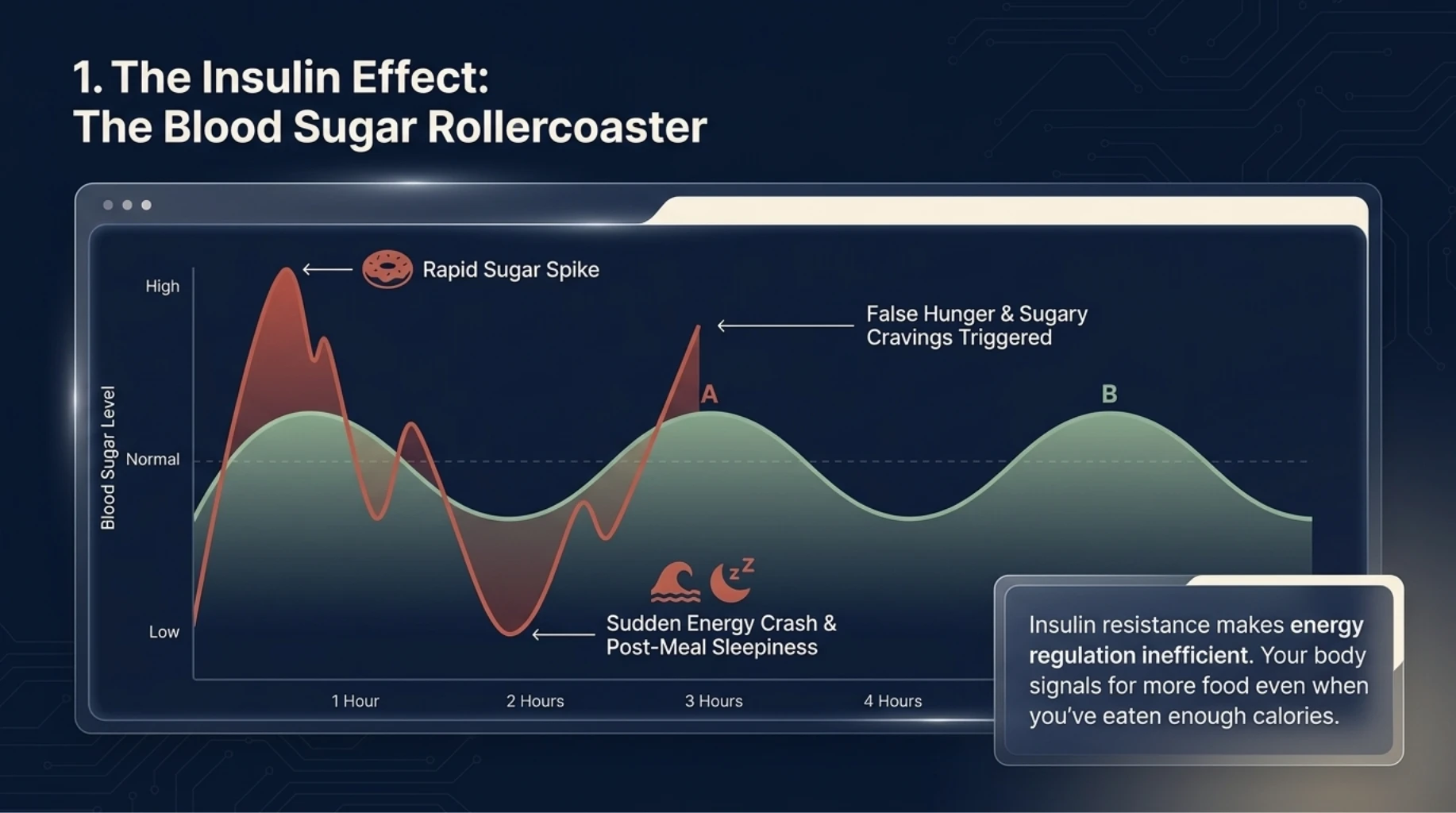 Blood sugar rollercoaster from insulin resistance triggering energy crashes, cravings, and false hunger signals