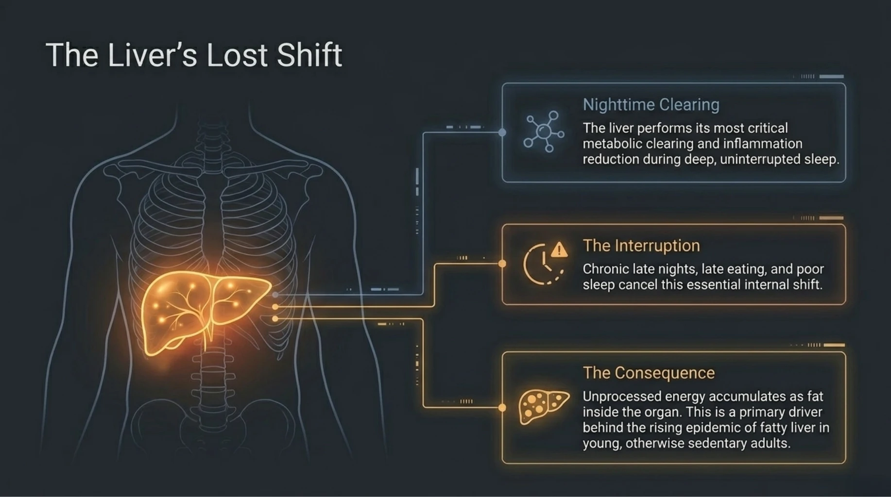 Late-night eating and poor sleep interrupting nighttime liver repair and increasing fatty liver risk