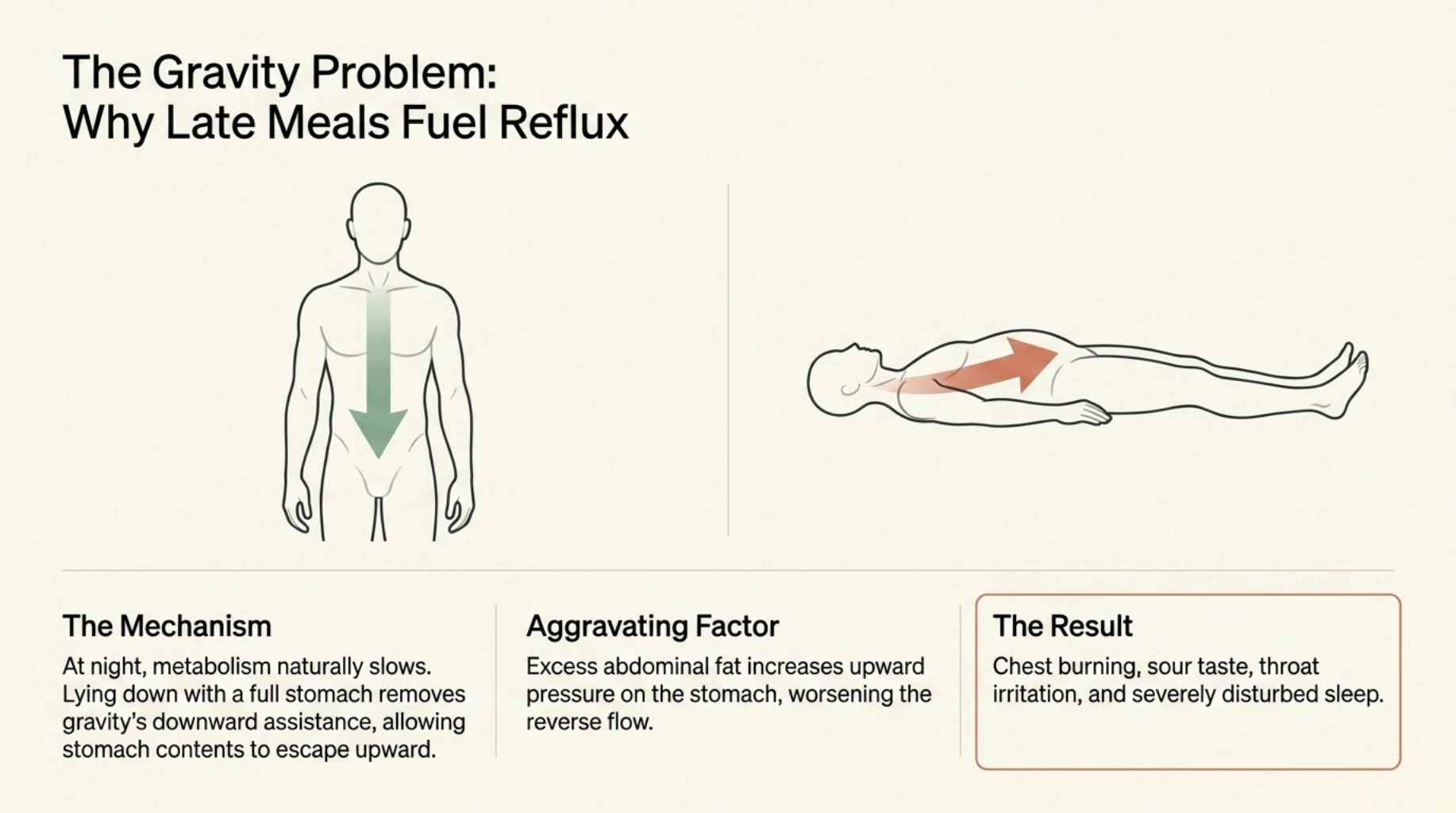 Late-night meals and lying down worsening acid reflux due to gravity-related upward stomach acid movement