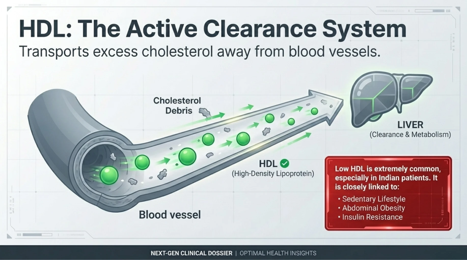 High triglycerides acting as warning sign of insulin resistance, refined carb intake, and fatty liver tendency