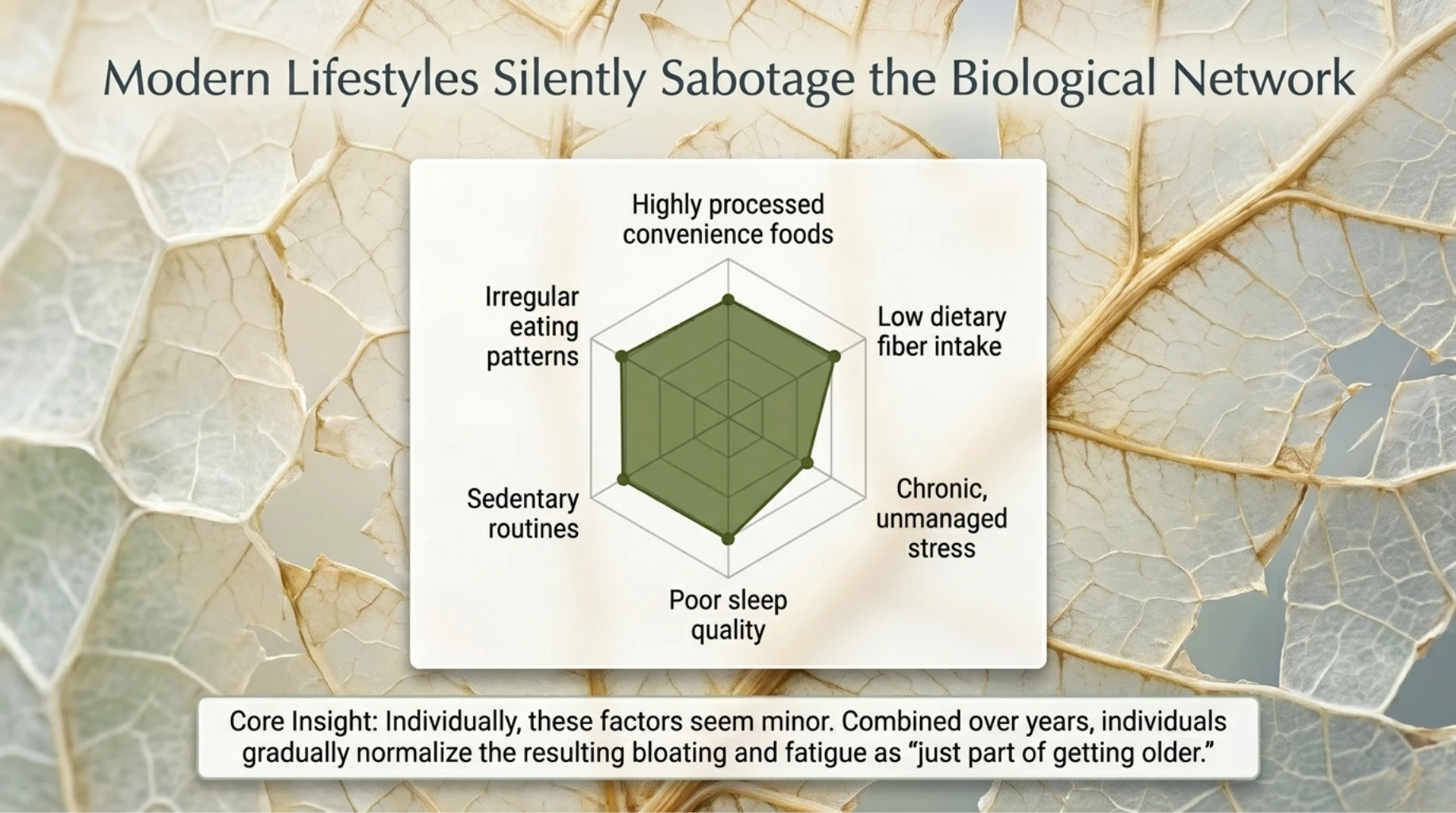 Modern lifestyle factors including processed foods, stress, poor sleep, and sedentary habits disrupting gut health