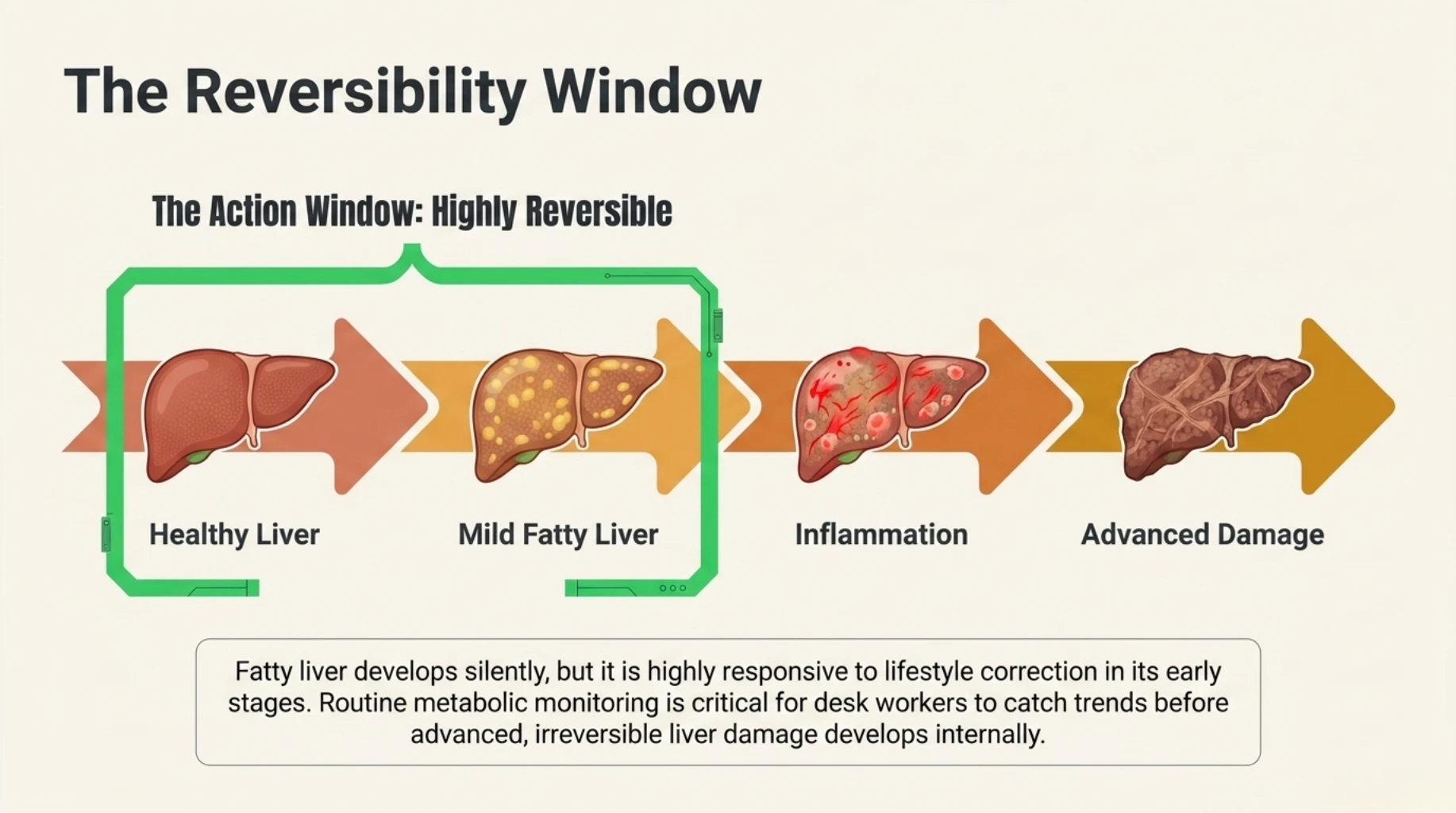 Early fatty liver reversibility window showing how timely lifestyle correction can prevent inflammation and permanent liver damage