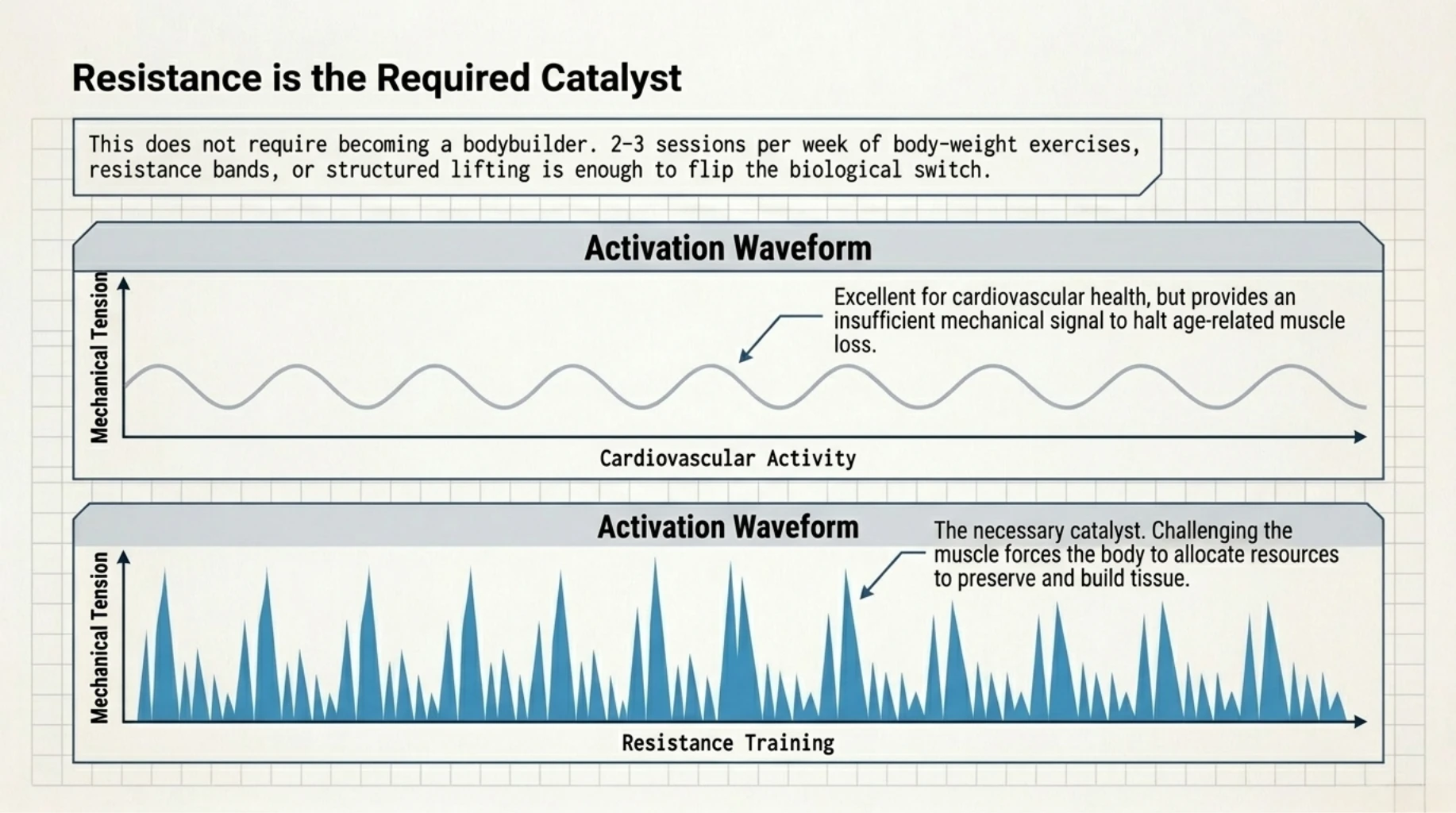 Daily muscle maintenance protocol combining protein distribution, micro-movements, and protected sleep for metabolic health