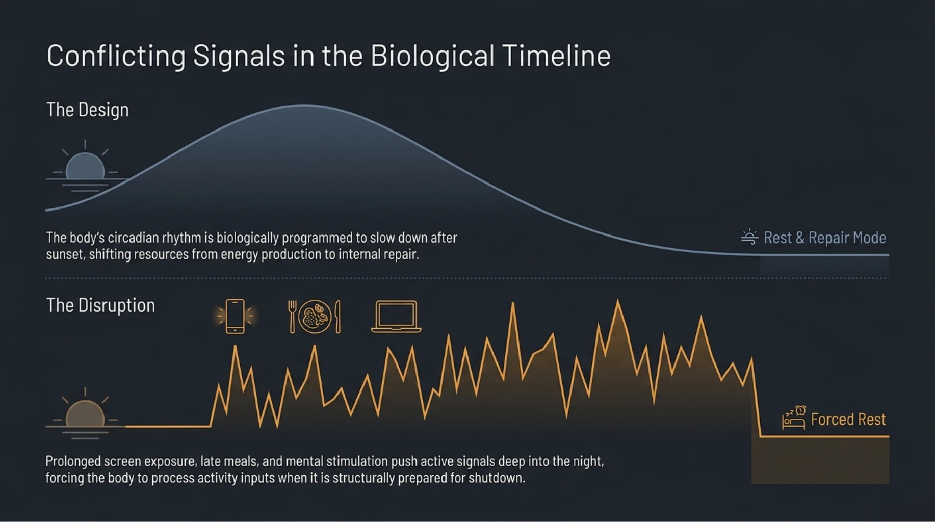 Late-night screen exposure and mental stimulation disrupting circadian rhythm and nighttime biological repair