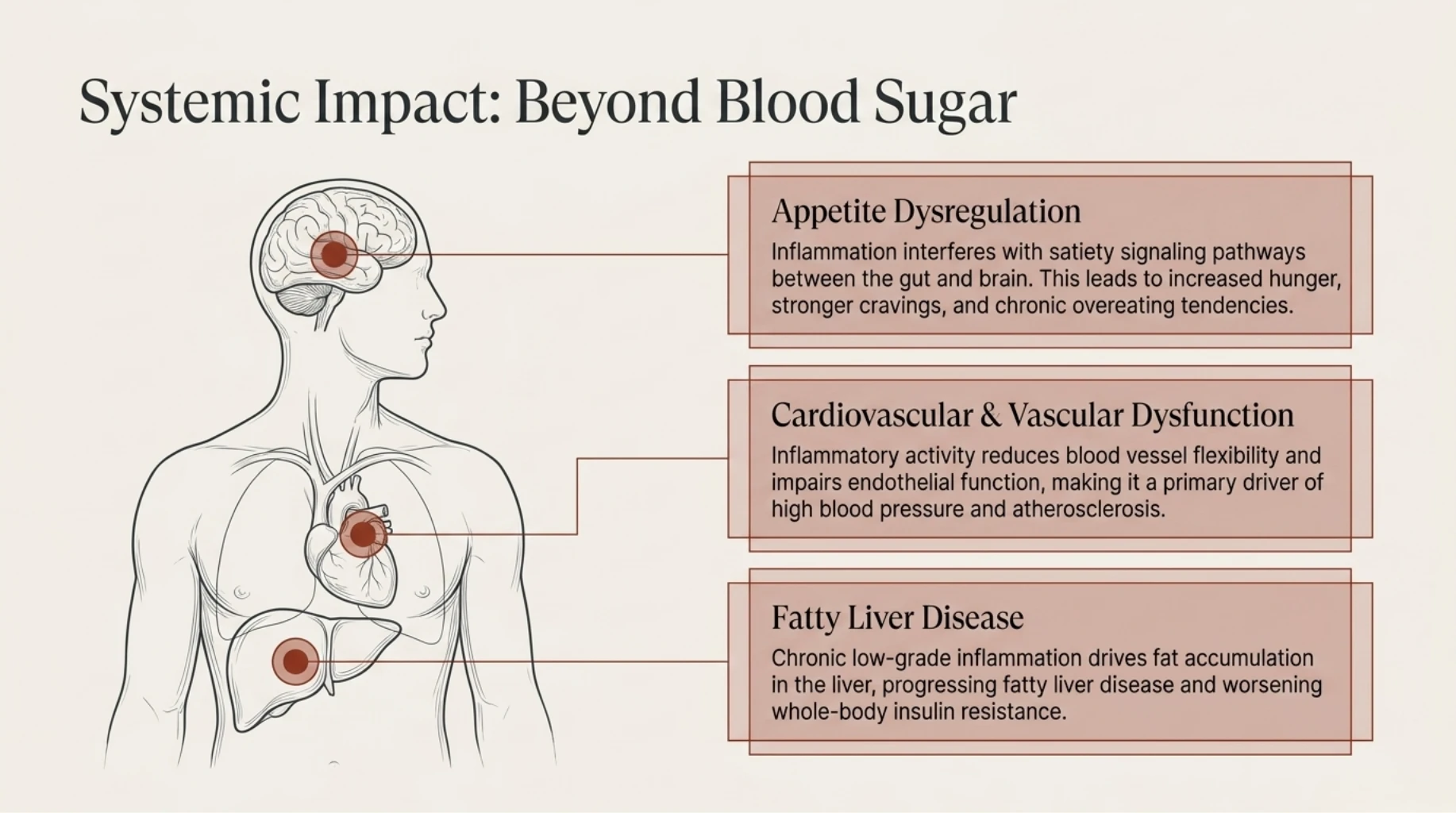 Chronic inflammation affecting appetite regulation, cardiovascular health, insulin sensitivity, and fatty liver development