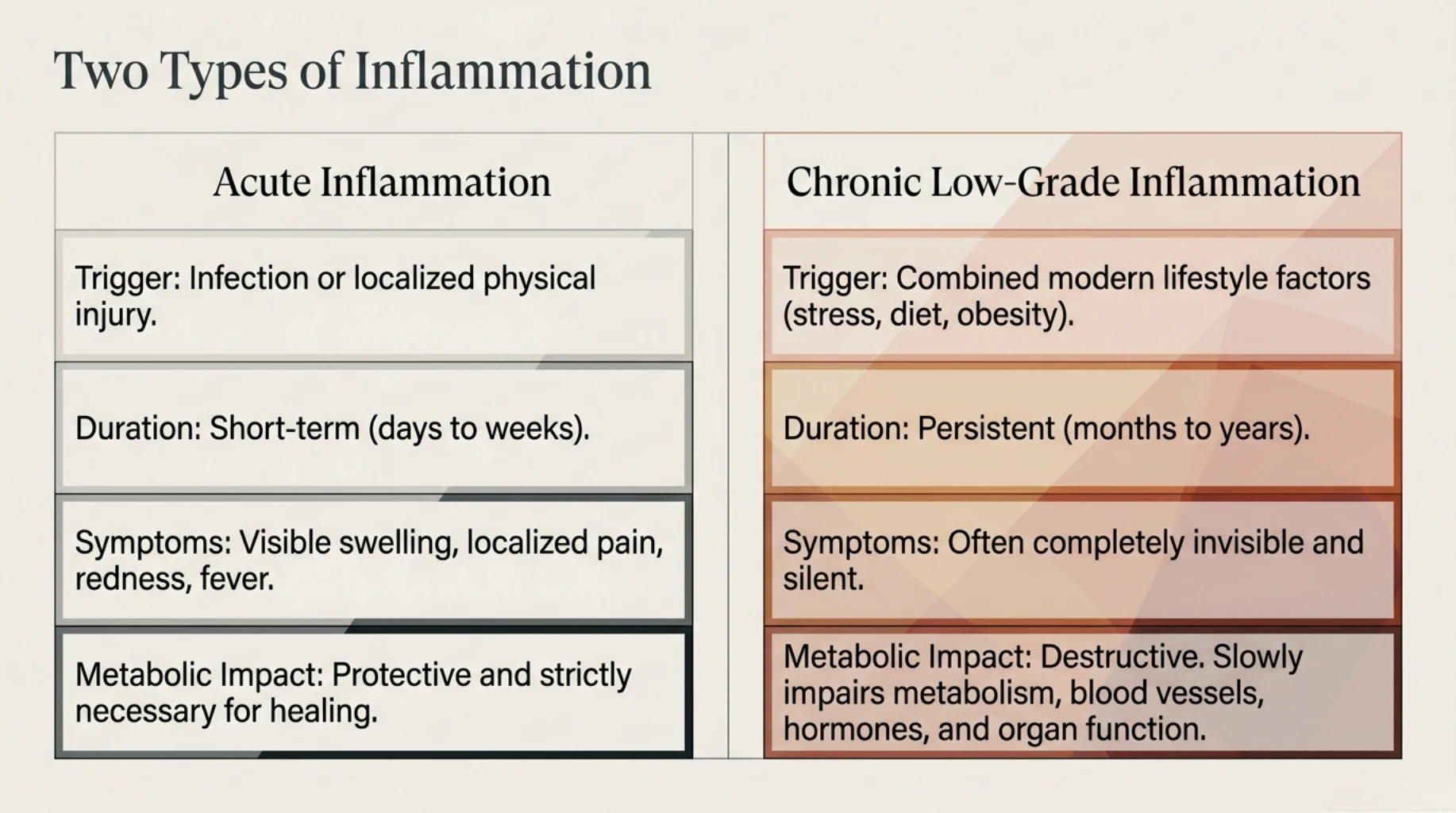 Comparison between acute inflammation and chronic low-grade inflammation affecting metabolism, hormones, and long-term health