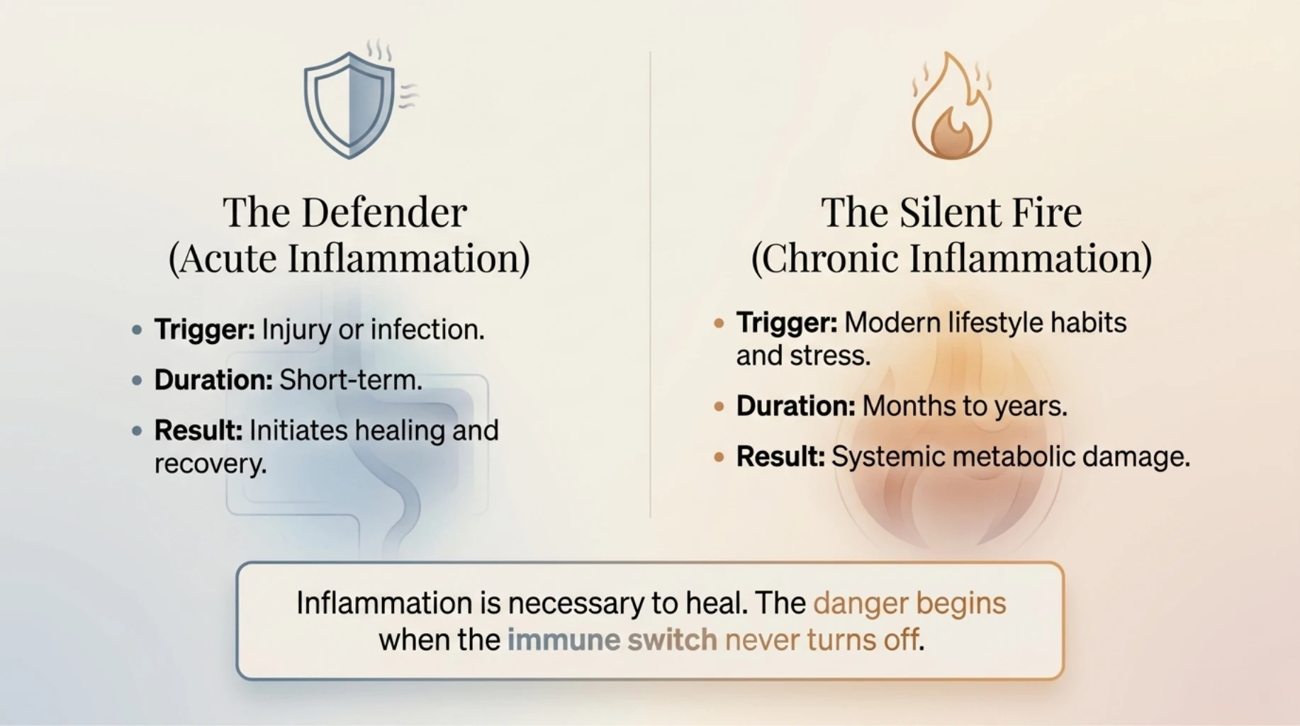 Comparison between acute inflammation that promotes healing and chronic inflammation that causes long-term metabolic damage