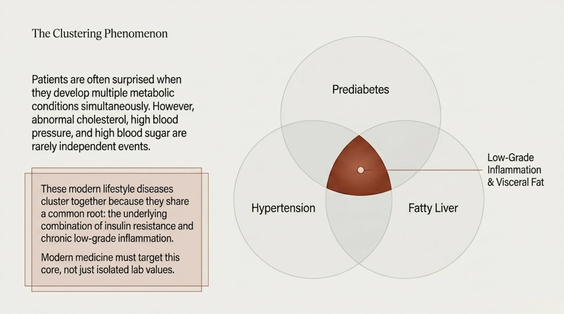 Prediabetes, hypertension, and fatty liver clustering together due to shared roots in inflammation and insulin resistance