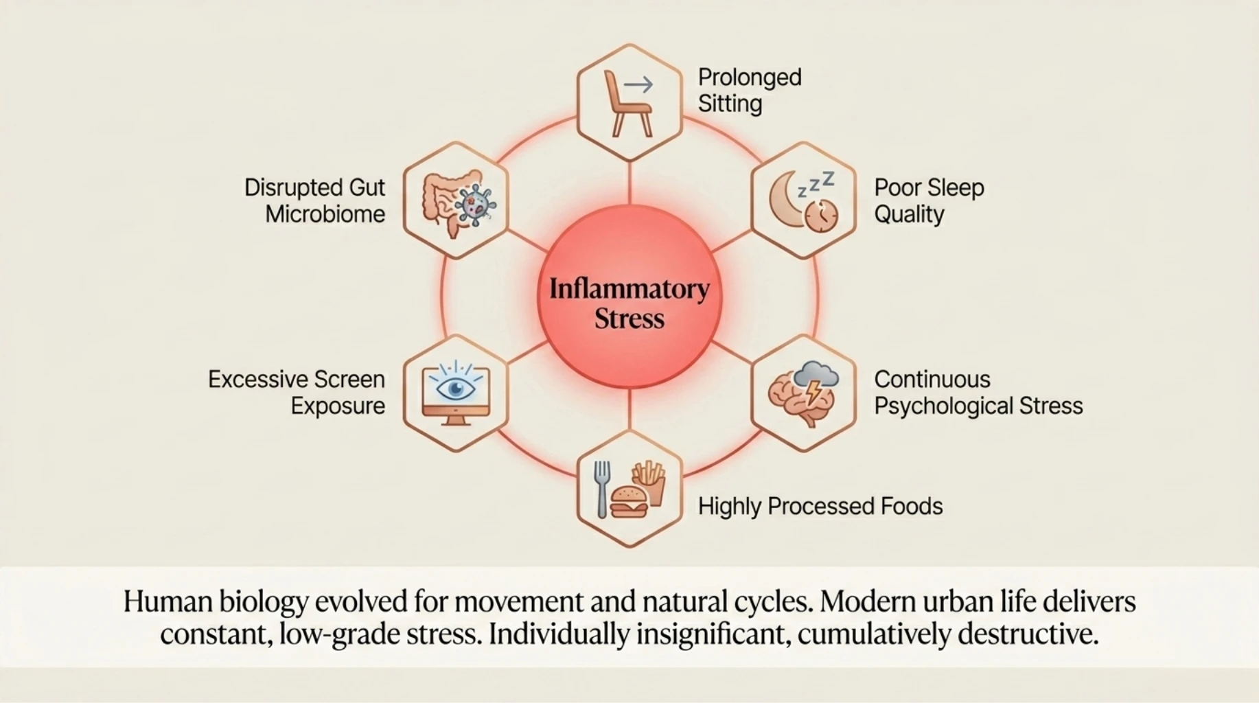 Modern lifestyle factors including poor sleep, prolonged sitting, stress, processed foods, and screen exposure driving chronic inflammation