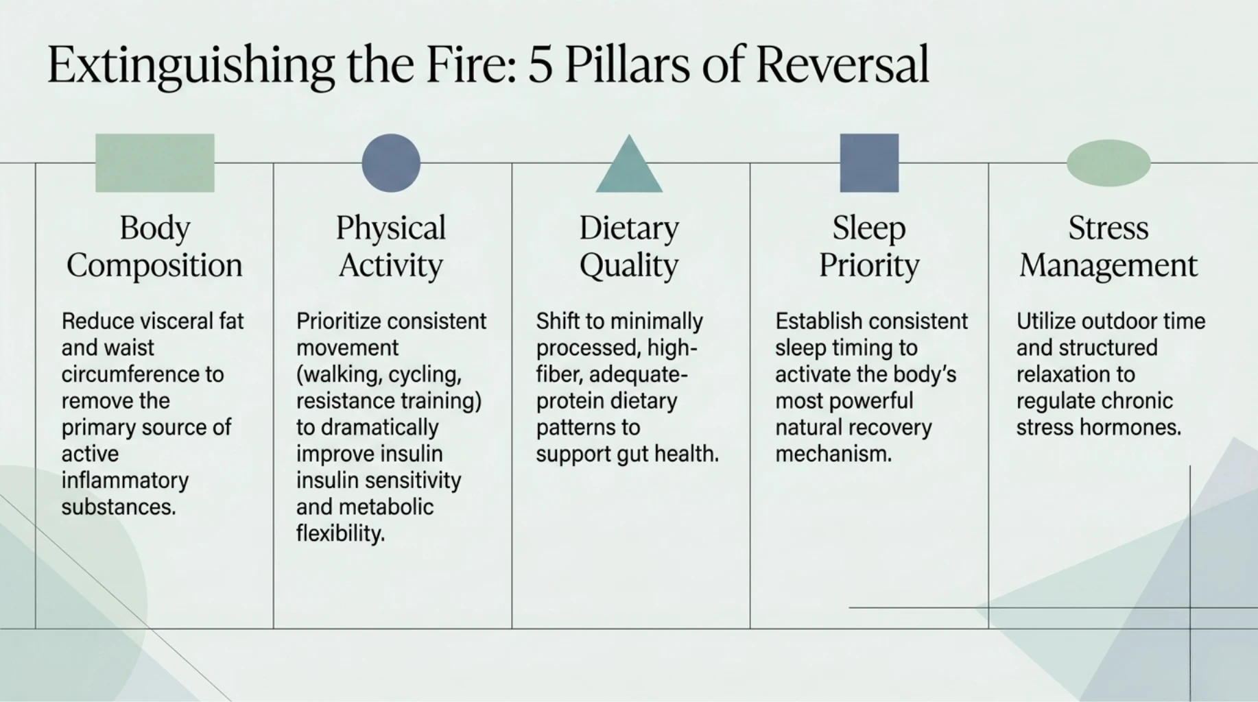 Five lifestyle pillars for reducing chronic inflammation including body composition improvement, activity, sleep, nutrition, and stress control