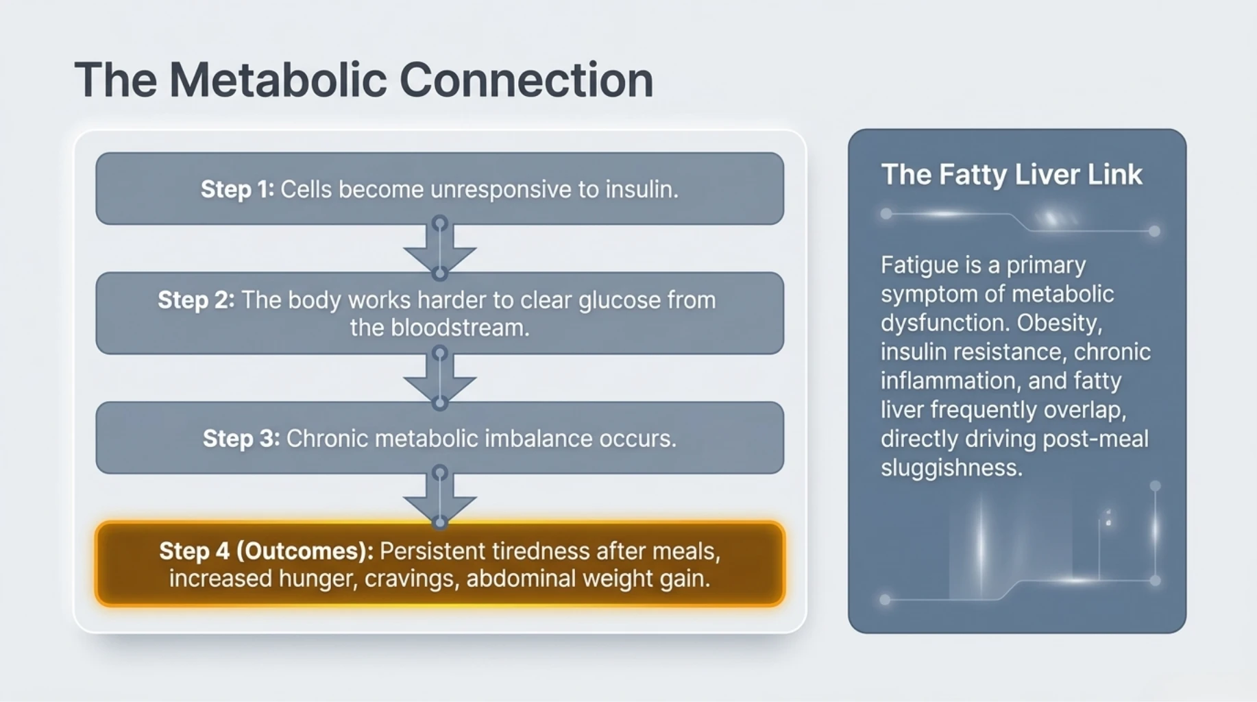 Flowchart showing the metabolic connection between insulin resistance, chronic metabolic dysfunction, fatty liver, and persistent tiredness after meals.