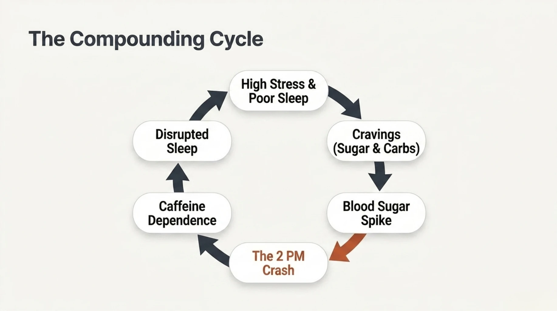 Circular infographic depicting the cycle of poor sleep, sugar cravings, blood sugar spikes, afternoon crashes, caffeine dependence, and disrupted sleep that perpetuates chronic fatigue.