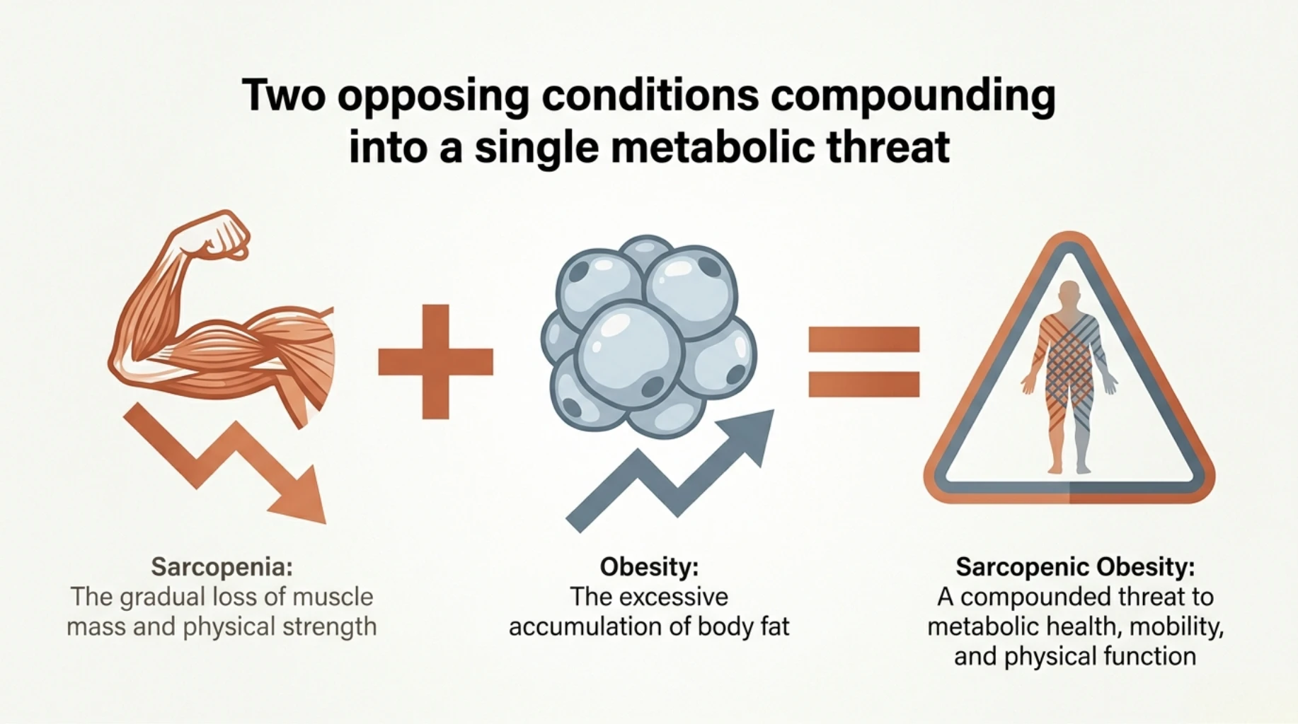 Infographic explaining how declining muscle mass and increasing body fat combine to create sarcopenic obesity, affecting metabolic health, mobility, and physical function.